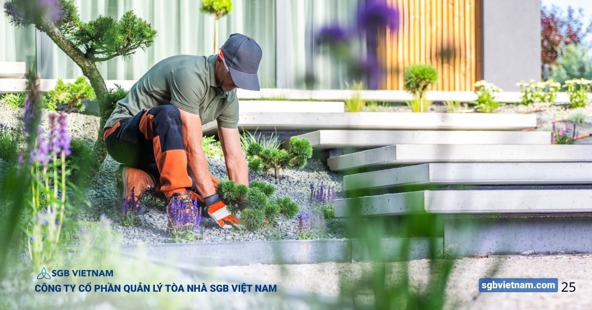 vận hành tòa nhà